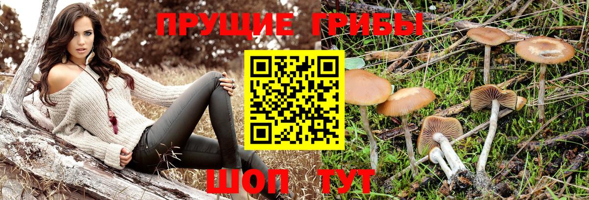 Псилоцибиновые грибы ЛСД  Псилоцибиновые грибы мицелий  Вход с VPN  дарнет шоп  Карпинск 
