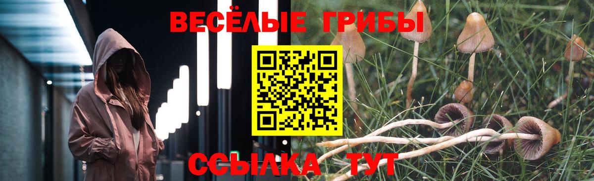 Галлюциногенные грибы Cubensis Карпинск