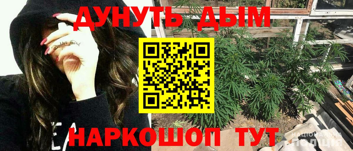 Канабис тримм  Канабис марихуана  Бошки марихуана план  Карпинск  Вход с VPN  МАРИХУАНА гибрид 